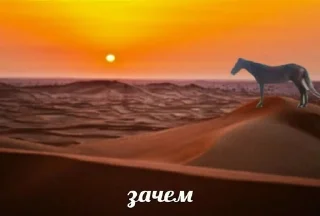 🧐 emoji хихоньки да хахоньки Telegram sticker 6 of 55