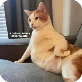 🫥 emoji Хаха Telegram sticker 20 of 55