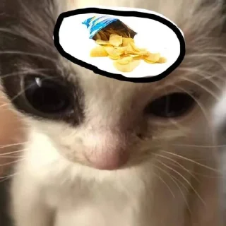 🌟 emoji nasosala Telegram sticker 12 of 41