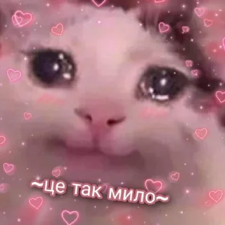 🥹 emoji емоції бандерівця by @inteakiss Telegram sticker 15 of 82