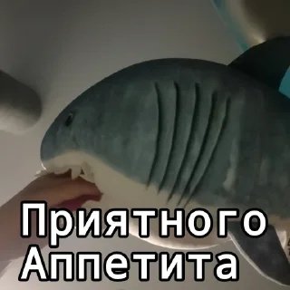 🍄 emoji Акула @bloptop Telegram sticker 16 of 20