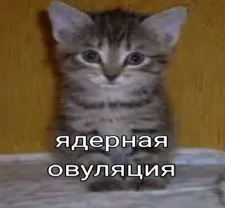 Sticker from я щас в штанишки