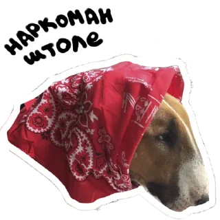Sticker from Doggo