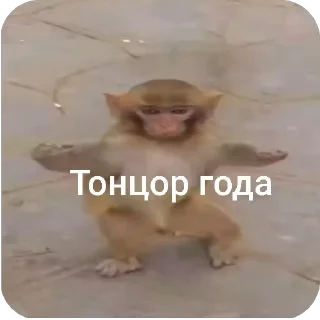 🤩 emoji Моки топ от @Galaktic_Land Telegram sticker 4 of 113