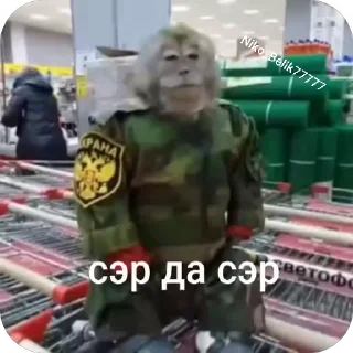 🫡 emoji Моки топ от @Galaktic_Land Telegram sticker 6 of 113