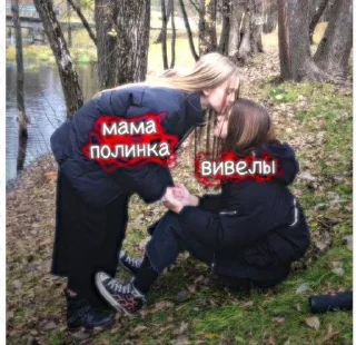 😽 emoji Вивел>>> Telegram sticker 6 of 40