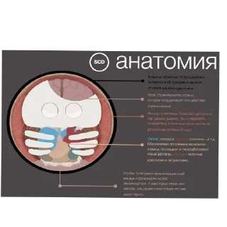 🖼 emoji Автор хз кто Telegram sticker 14 of 75