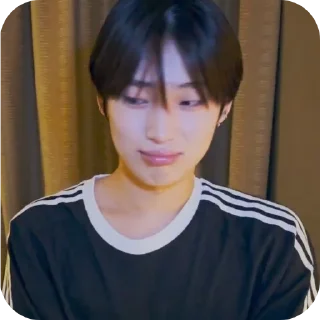 😚 emoji kim Ddeonu Telegram sticker 20 of 30