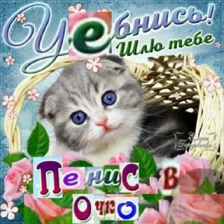 😊 emoji Мемы которые одобрили Telegram sticker 9 of 120