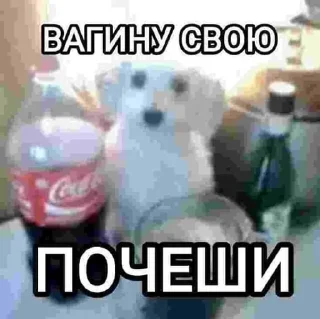 🌟 emoji цирозмомент Telegram sticker 22 of 61