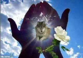 🌟 emoji цирозмомент Telegram sticker 3 of 61