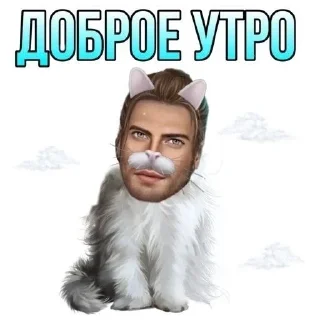 Sticker from 💐 Бухло небес 🐚