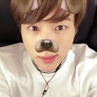 🤪 emoji seokjin @nmhlp Telegram sticker 9 of 40