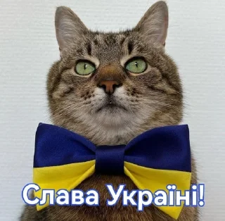 👍 emoji Loveyoustepan Telegram sticker 17 of 45