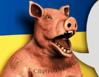 🗣 emoji Украина @stickernayaa Telegram sticker 24 of 51