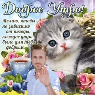 ☀ emoji Стики от Грачика Telegram sticker 12 of 35
