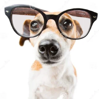 🤓 emoji Сабака абассяка Telegram sticker 9 of 23