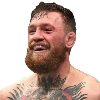 😀 emoji MMA Telegram sticker 13 of 75