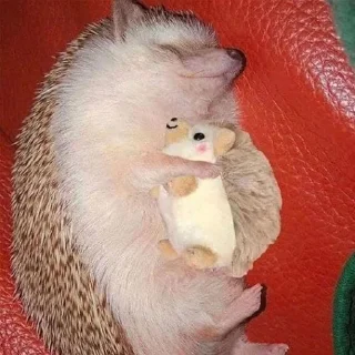 🦔 emoji hedgehogs Telegram sticker 22 of 120