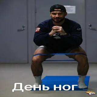 Sticker from лисики