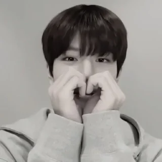 ❤ emoji seungmin цв Telegram sticker 7 of 14