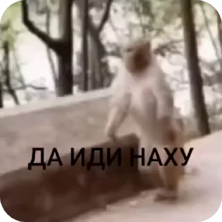 🌟 emoji БОЛЬШЕ ⇨ @CLOOBHUB МЕМЫ MEMES МОНСТРЫ КОММАНДОС ТГ Telegram sticker 16 of 80