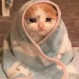 🥺 emoji БОЛЬШЕ ⇨ @CLOOBHUB МЕМЫ MEMES МОНСТРЫ КОММАНДОС ТГ Telegram sticker 19 of 80