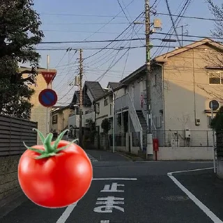 🍅 emoji бспомидор @sukurava Telegram sticker 18 of 67