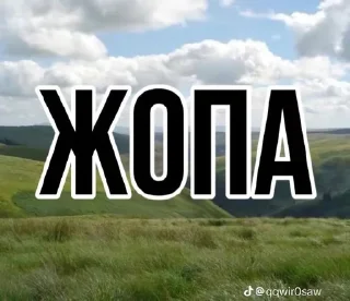🌟 emoji жопа Telegram sticker 9 of 41