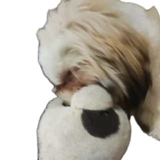 🐶 emoji Мсм Telegram sticker 9 of 16
