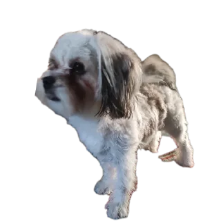 Мсм sticker 3