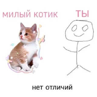 🐈 emoji хрень. Telegram sticker 7 of 50