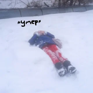 🦭 emoji Олесье, Олусь и тд тп Telegram sticker 24 of 46