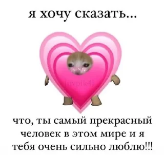 🌟 emoji 💗Котя и Мирчка💗 Telegram sticker 21 of 31