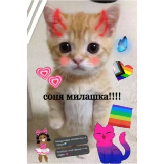 🏳️‍🌈 emoji соня самая лучшая Telegram sticker 20 of 20