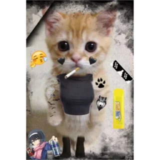 🚬 emoji соня самая лучшая Telegram sticker 18 of 20