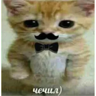 👹 emoji соня самая лучшая Telegram sticker 14 of 20