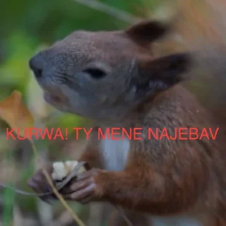 🤔 emoji Якась жопа Telegram sticker 9 of 42