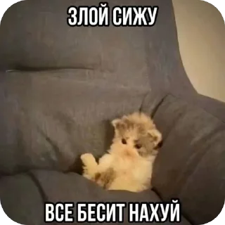 🫥 emoji агресивни няшка Telegram sticker 13 of 55