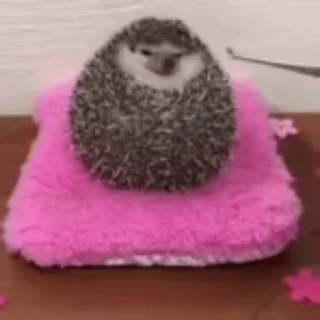 🤯 emoji Кемерово Telegram sticker 17 of 54
