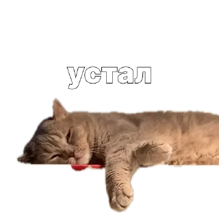 😮‍💨 emoji gook Telegram sticker 7 of 7