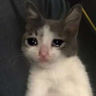 🥲 emoji Это просто дощь Telegram sticker 6 of 18
