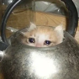 🥲 emoji Это просто дощь Telegram sticker 9 of 18
