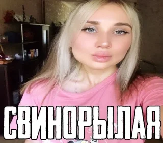 🐖 emoji песебан Telegram sticker 17 of 87