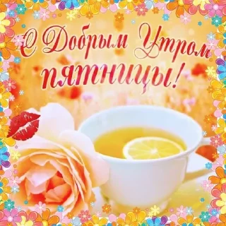 💐 emoji Дни партийной недели Telegram sticker 17 of 41