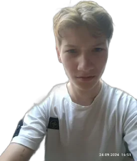 🌟 emoji Данилка и его друзья Telegram sticker 6 of 98
