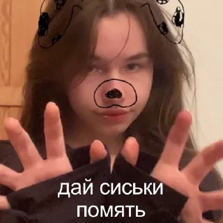 Sticker from котята