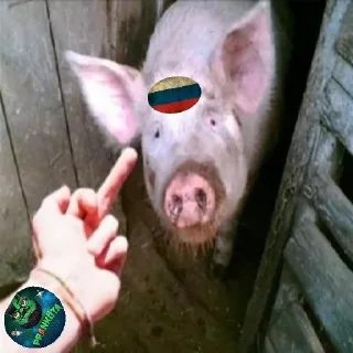 🐽 emoji Русофобия Telegram sticker 7 of 120
