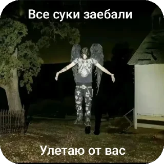 👍 emoji Щити щит Telegram sticker 4 of 34