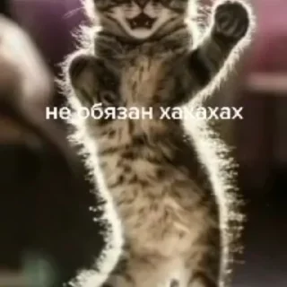 🤪 emoji Сделано Кирюшей Telegram sticker 9 of 26